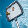 Kescher mit Blättern im Pool