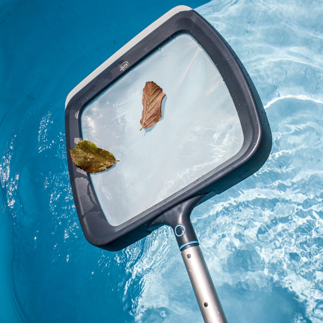 Kescher mit Blättern im Pool