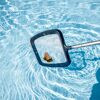 Kescher fischt ein Blatt aus dem Pool