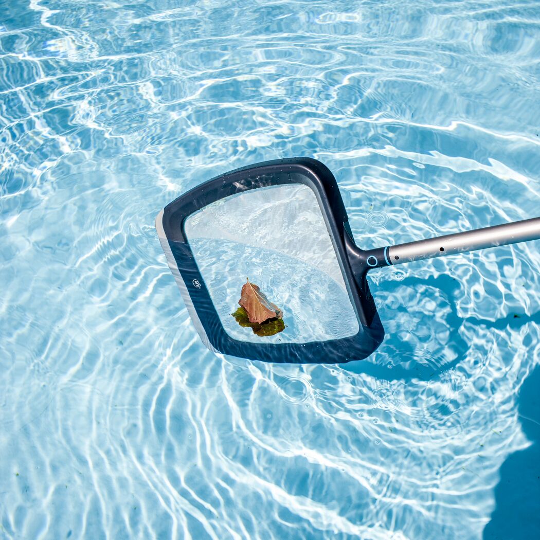 Kescher fischt ein Blatt aus dem Pool