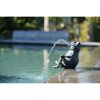 Wasserspeier 'Frosch' 15 x 20 x 23 cm
