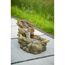 Wasserspiel Aspen AcquaArte
