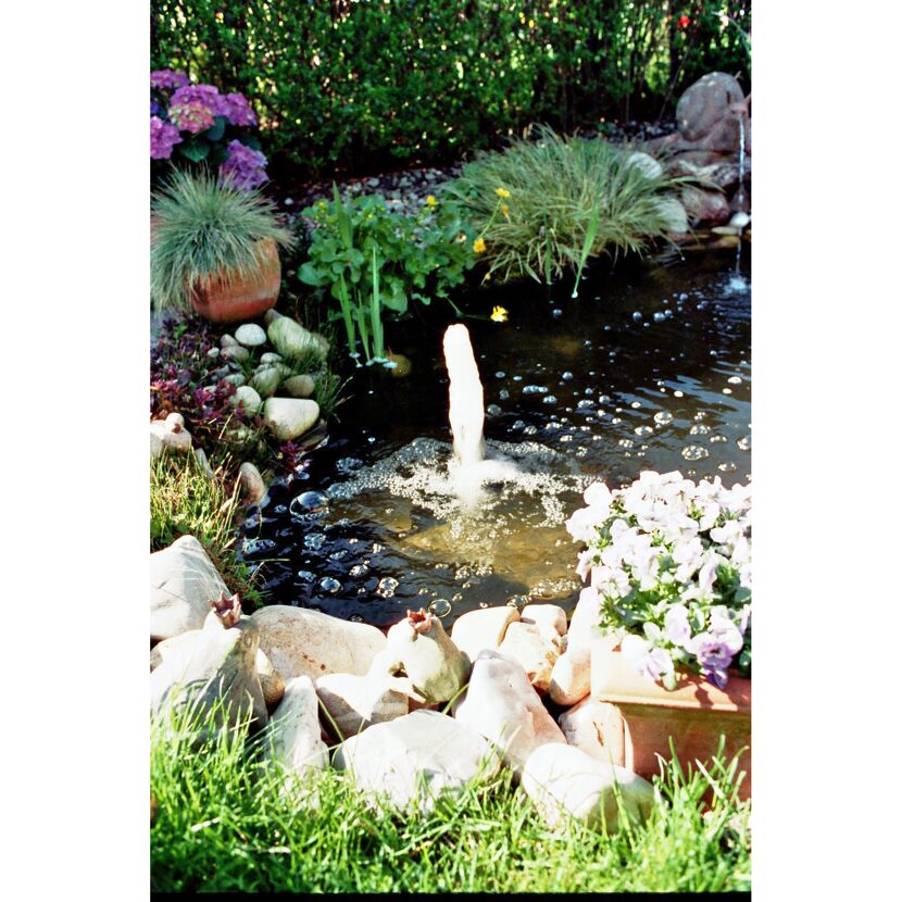 Gartenteich mit Springbrunnen und Blumen