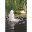 Teichpumpe Xtra 2300 mit Wasserstrahl und Seerose