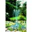 Springbrunnen in einem Teich mit Seerosen