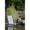 Solar Springbrunnen mit Solarpanel im Gartenteich