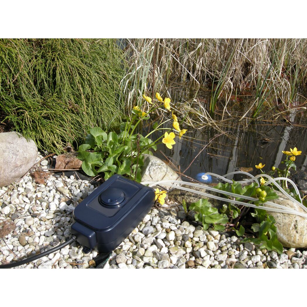 Belüftungspumpe für Gartenteich