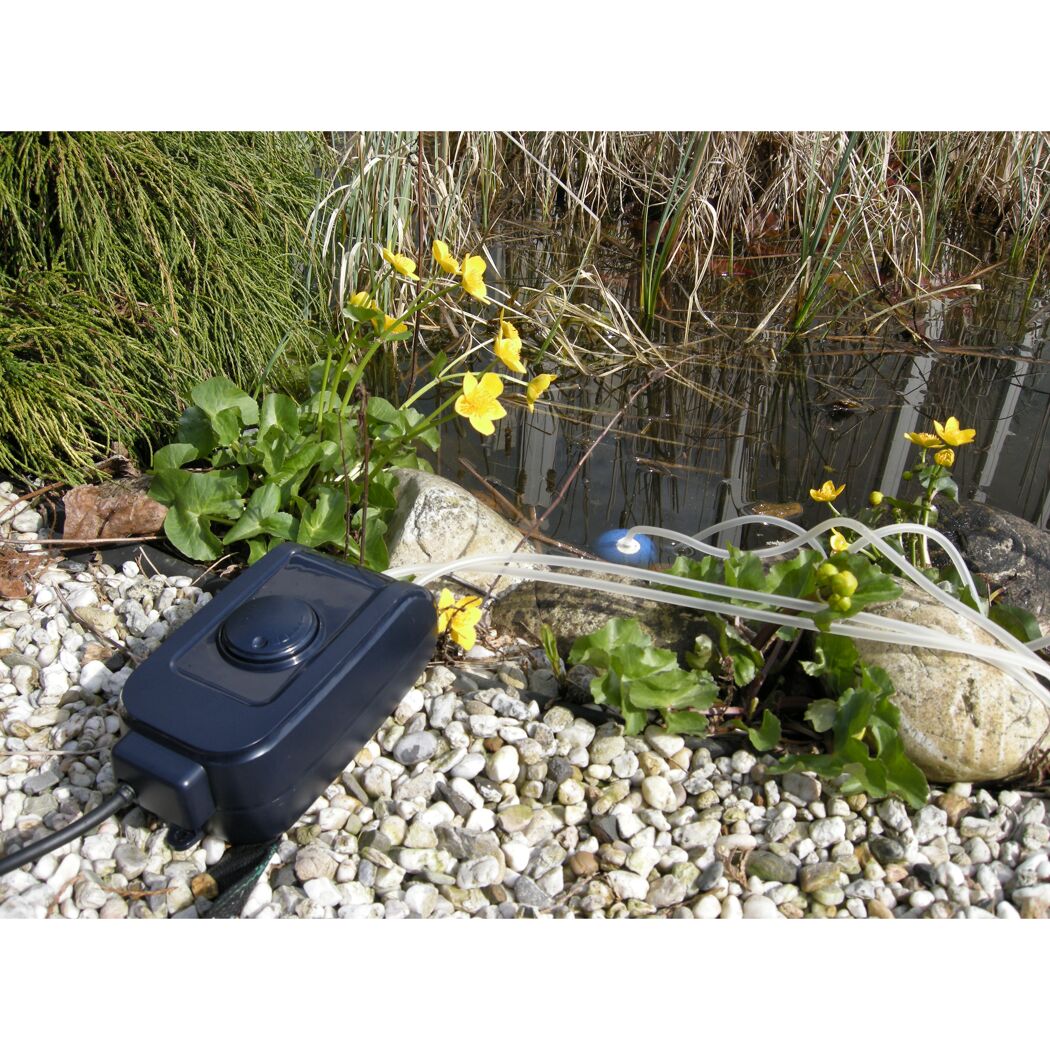 Belüftungspumpe am Gartenteich