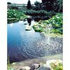 Springbrunnen in einem Teich mit Seerosen.