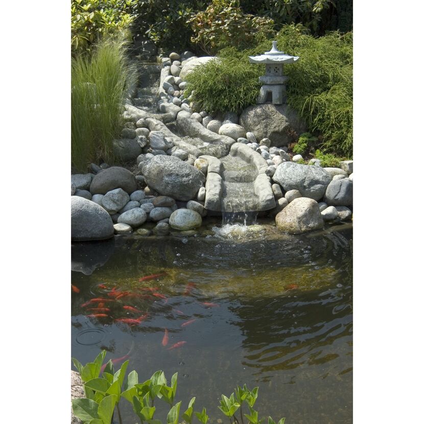 Gartenteich mit Wasserfall und Goldfischen