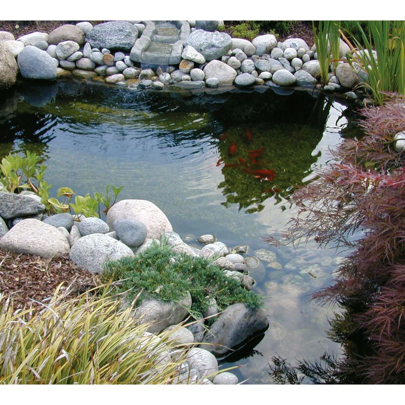 Fertigteich Ocean II mit Goldfischen