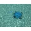 Poolroboter Orca 50 CL im Pool