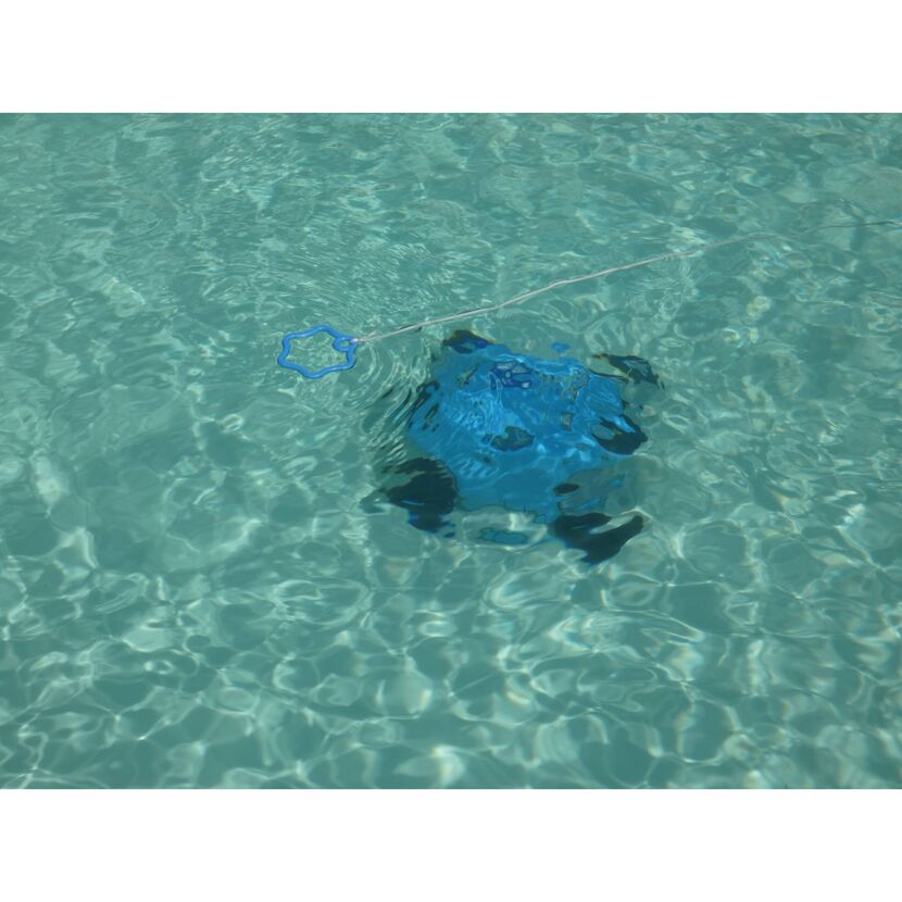 Poolroboter Orca 50 CL im Pool