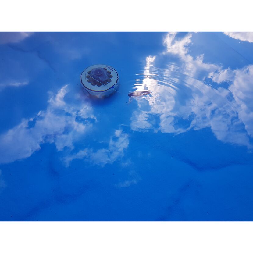 Poolroboter im blauen Pool