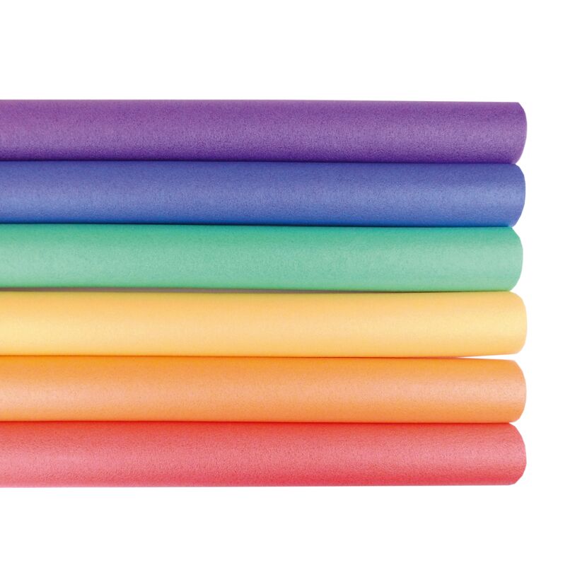 Sechs bunte Poolnudeln
