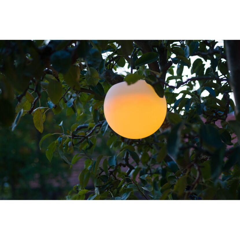 Leuchtende Kugel in einem Baum