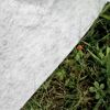 Weißes Gartenvlies auf Rasen