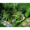 Kleiner Gartenteich mit Springbrunnen und Seerosen