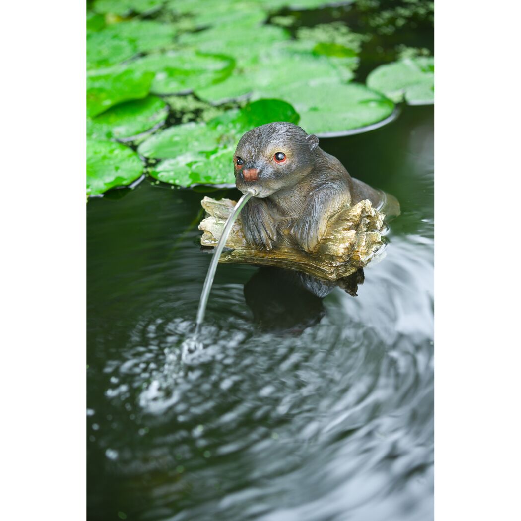 Wasserspeier Otter auf einem Baumstamm.