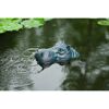 Wasserspeier Hippo im Teich