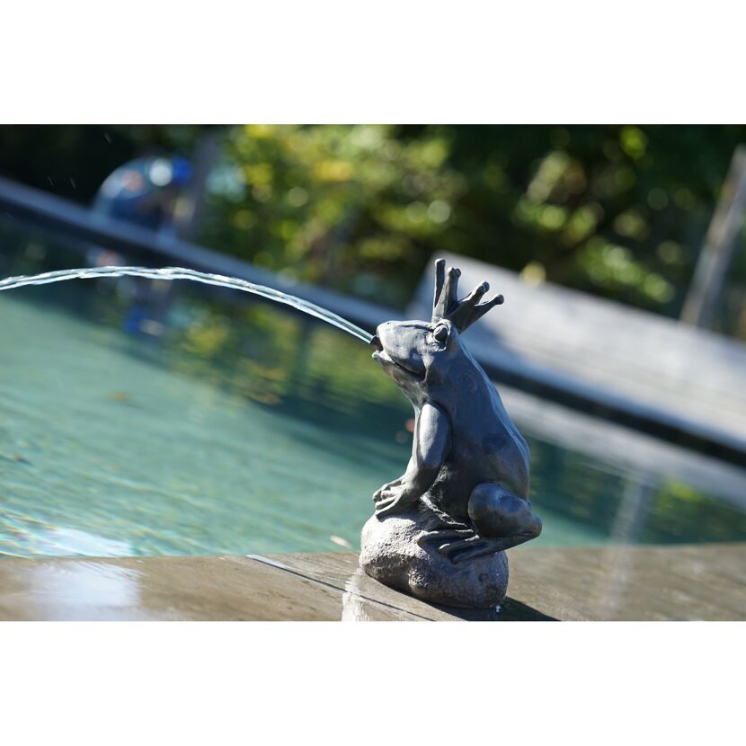 Wasserspeier Froschkönig