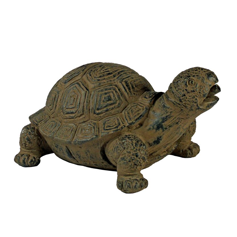 Schildkröte Wasserspeier