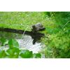 Schildkröte Wasserspeier im Gartenteich