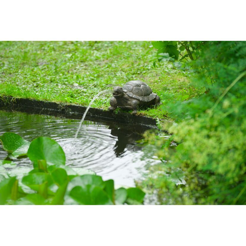Schildkröte Wasserspeier im Gartenteich
