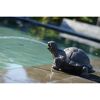 Schildkröte Wasserspeier am Poolrand