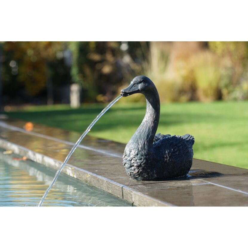 Wasserspeier Schwan