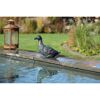 Wasserspeier Ente