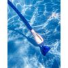 Poolreiniger im Pool