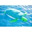 Schwimmtier 'Buddy Schildkröte' blau Textil 82 x 100 x 15 cm