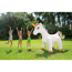 Wassersprinkler 'Einhorn' 127 x 211 cm