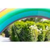Regenbogenwasserspiel