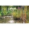 Springbrunnen plätschert in einem kleinen Teich im Garten