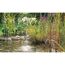 Springbrunnen plätschert in einem kleinen Teich im Garten