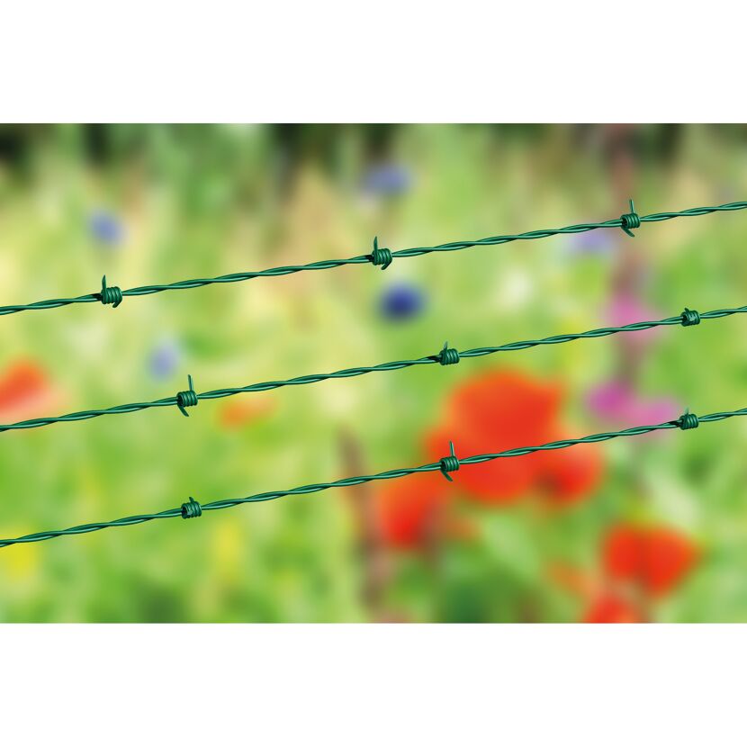 Grüner Stacheldraht vor verschwommenem Hintergrund