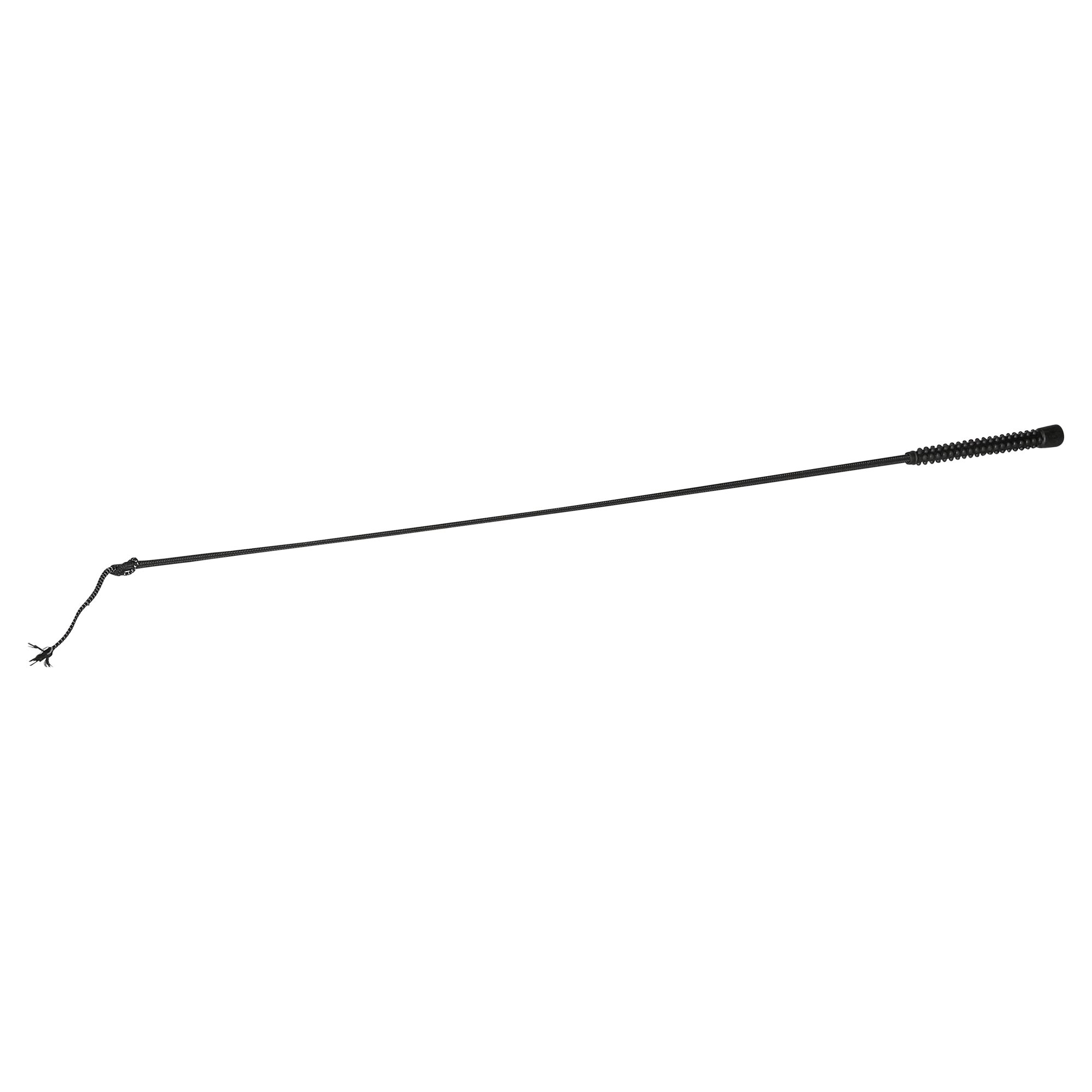 Schwarze Dressurgerte