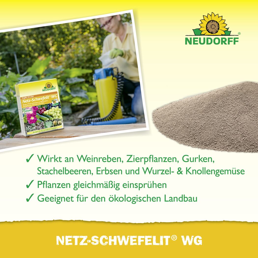 Netz-Schwefelit WG 75 g
