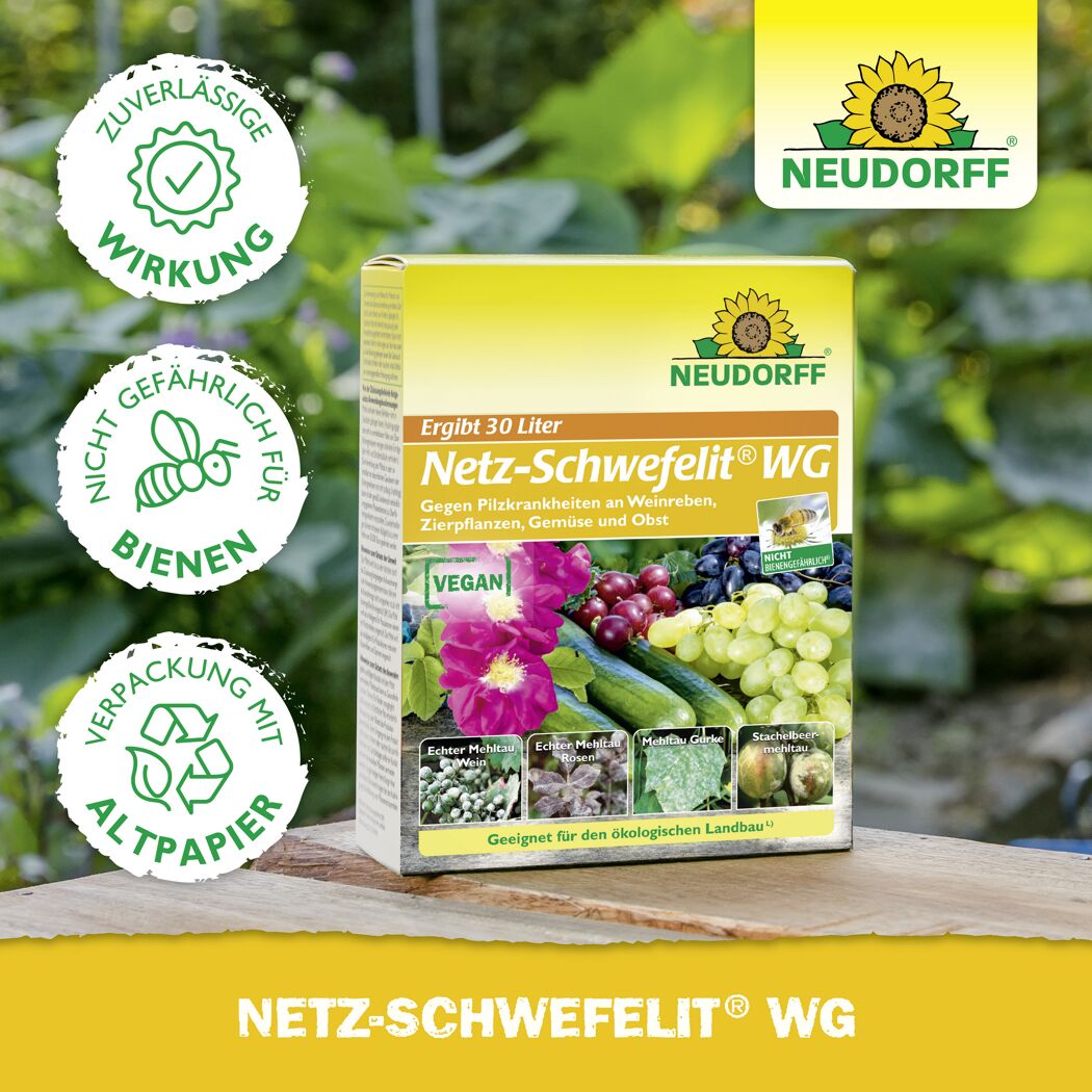 Netz-Schwefelit WG 75 g