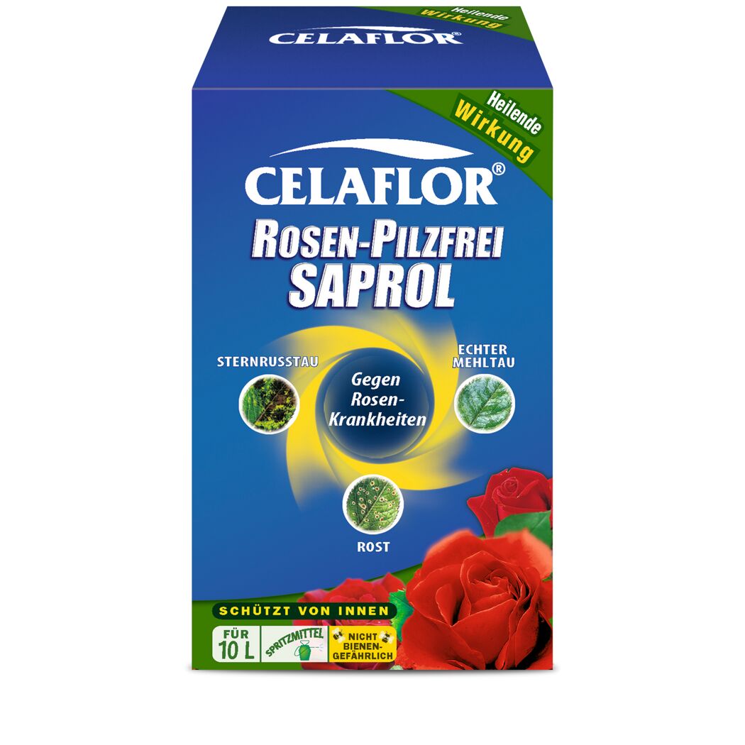CELAFLOR Rosen-Pilzfrei Saprol 10l Spritzmittel