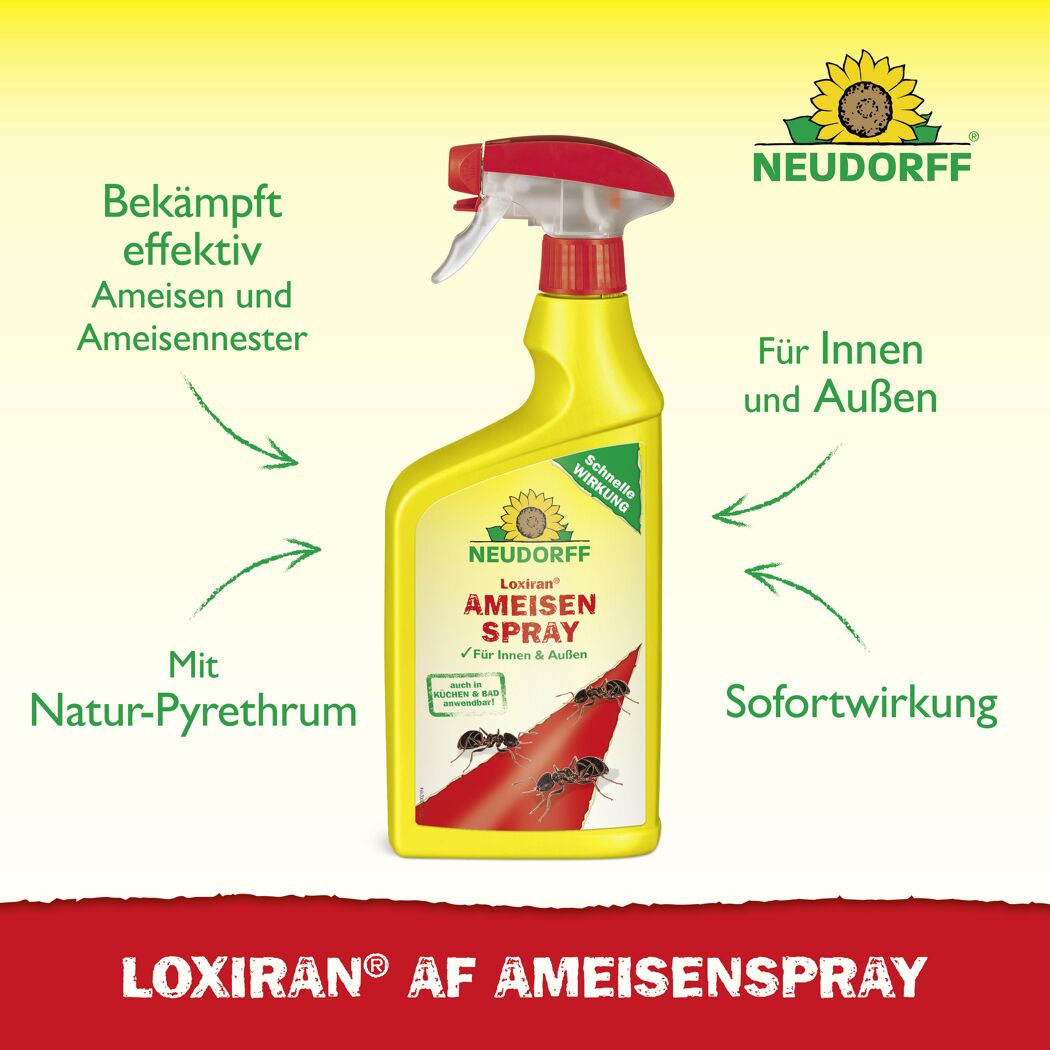 Loxiran AF Ameisenspray 750 ml