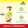 Loxiran AF Ameisenspray 750 ml