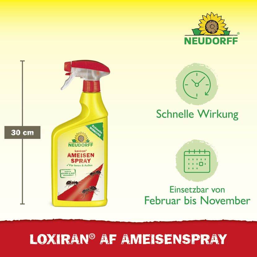 Loxiran AF Ameisenspray 750 ml