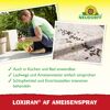 Loxiran AF Ameisenspray 750 ml