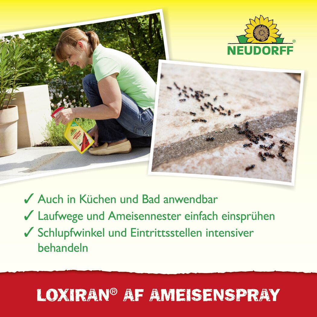 Loxiran AF Ameisenspray 750 ml