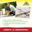 Loxiran AF AmeisenSpray 750 ml
