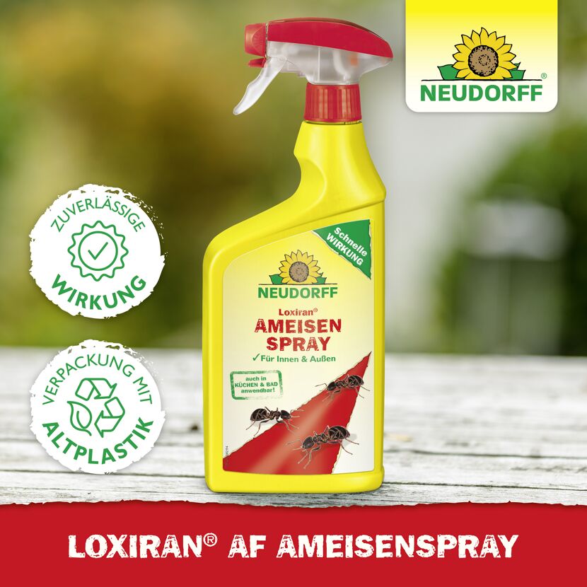 Loxiran AF Ameisenspray 750 ml
