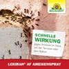 Loxiran AF Ameisenspray 750 ml